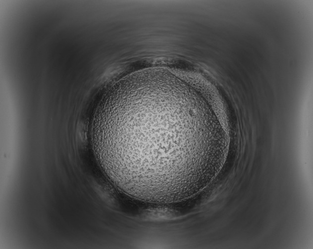 X0000085790695200703231308