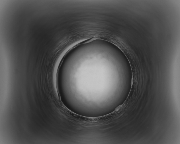 X0000085790696200703231308