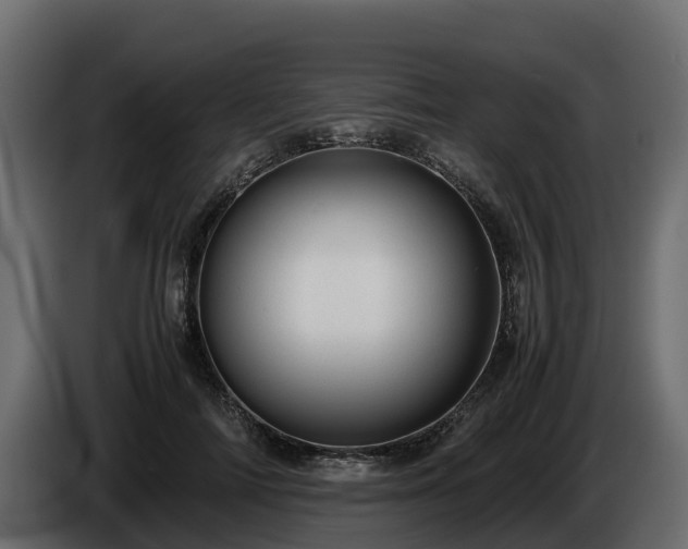 X0000085790698200703231308