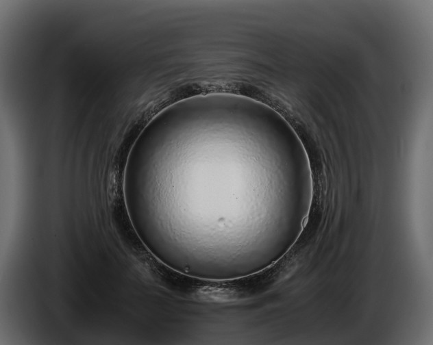 X0000085790699200703231308