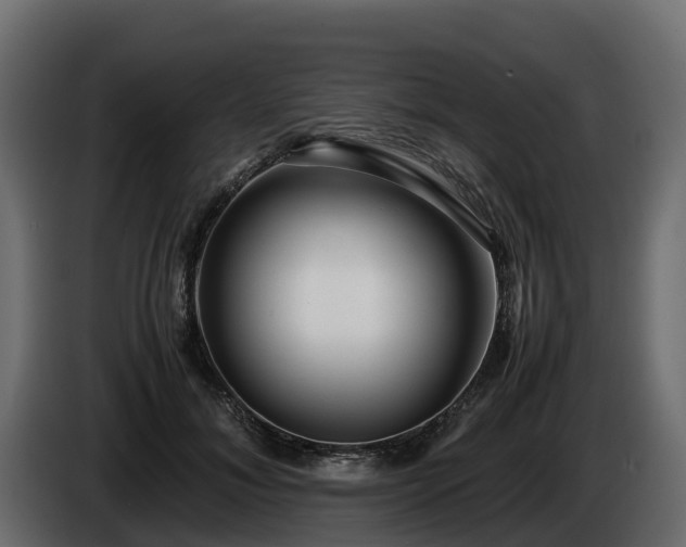X0000085790700200703231308