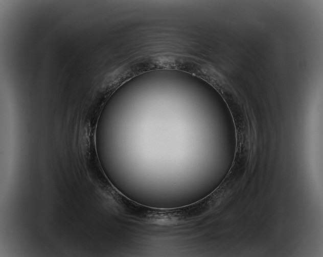 X0000085790702200703231308