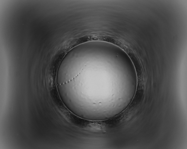 X0000085790703200703231308