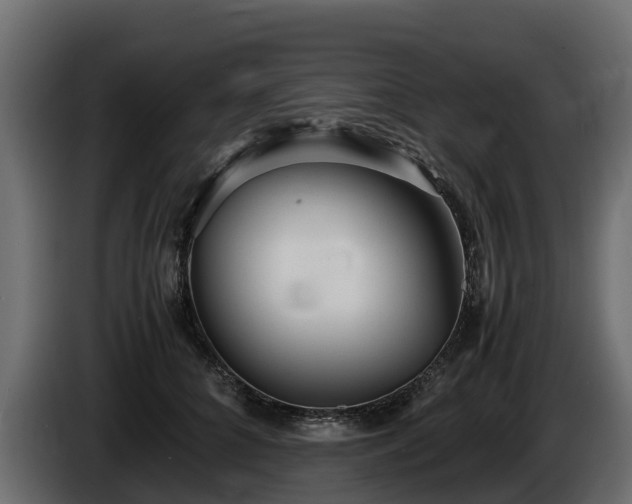 X0000085790704200703231308