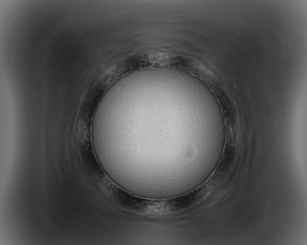 X0000085790705200703231308