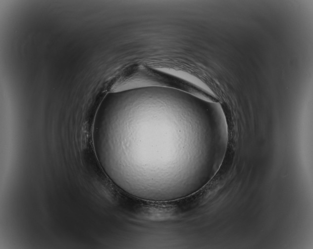 X0000085790707200703231308