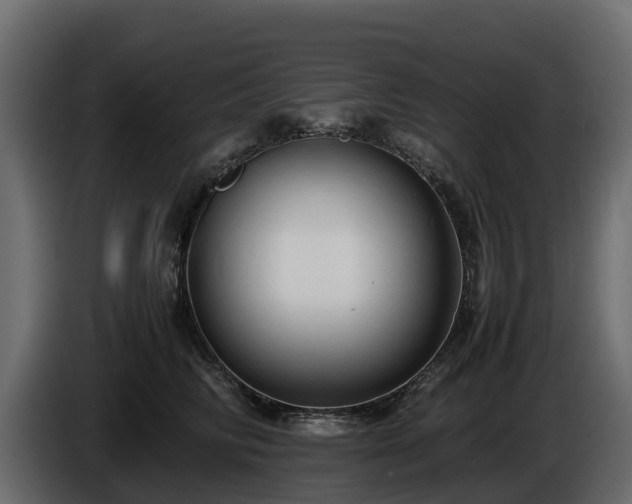 X0000085790710200703231308