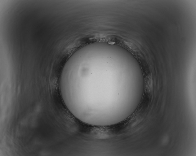 X0000085790713200703231308