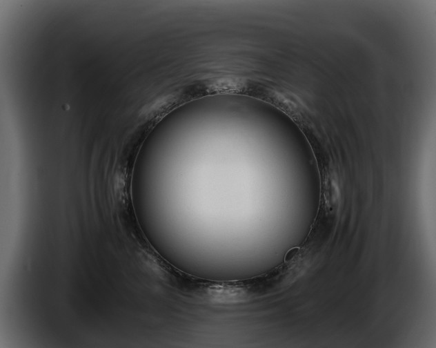 X0000085790714200703231308
