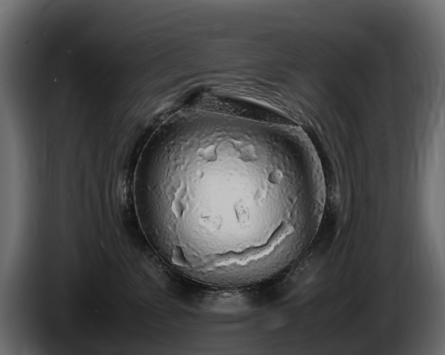 X0000085790715200703231308
