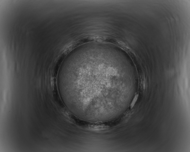 X0000085790716200703231308