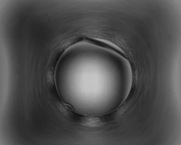 X0000085790719200703231308