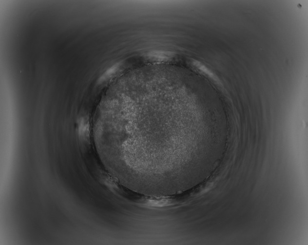 X0000085790720200703231308