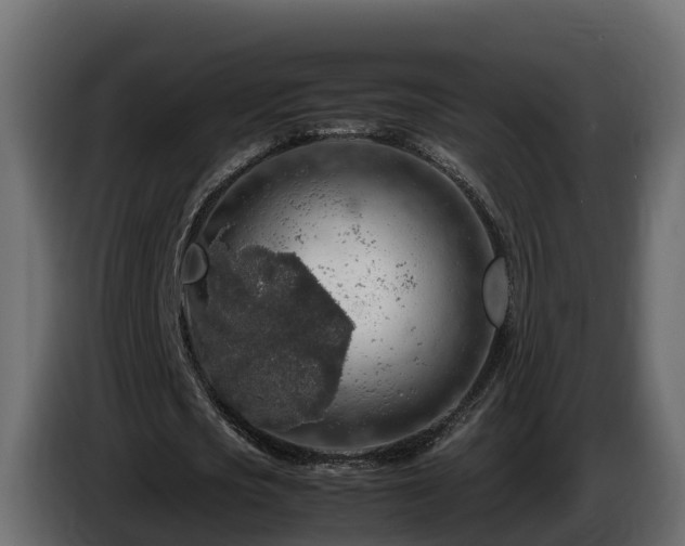 X0000085790721200703231307
