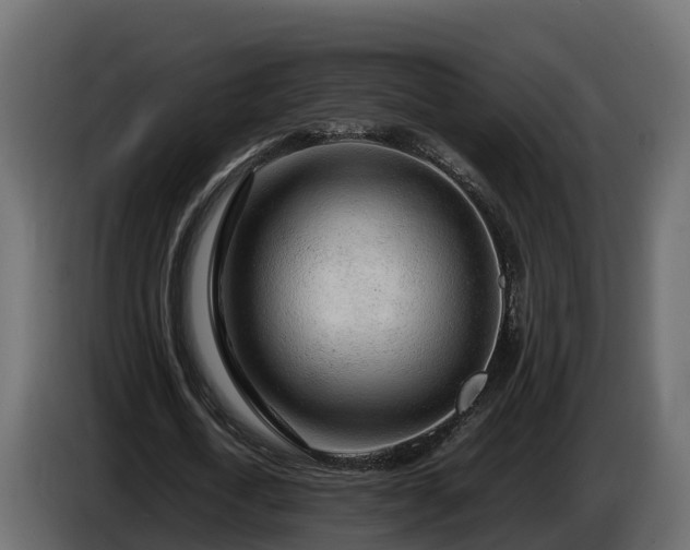 X0000085790722200703231307