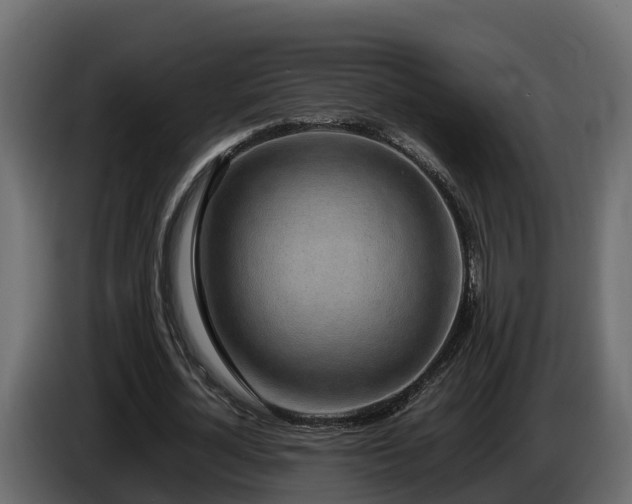 X0000085790724200703231307