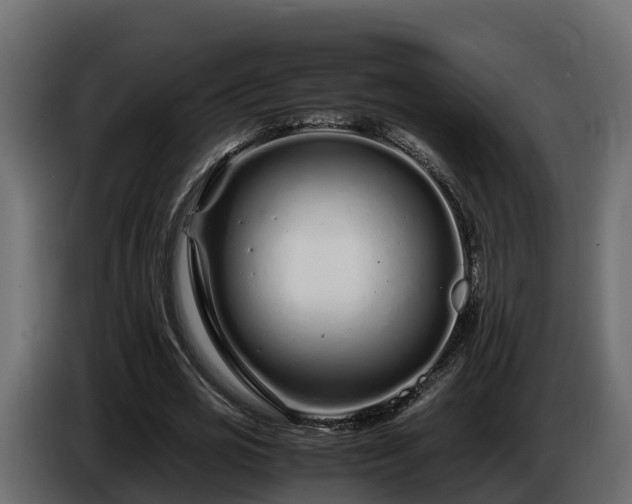 X0000085790725200703231307