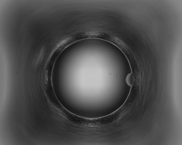 X0000085790731200703231307