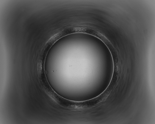 X0000085790733200703231307