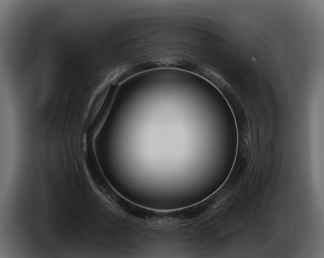 X0000085790734200703231307
