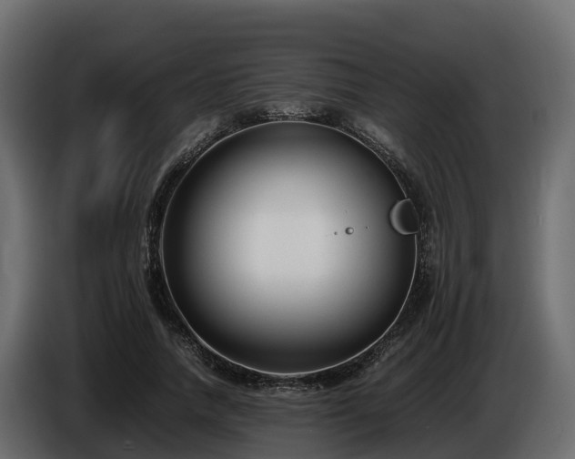 X0000085790738200703231307
