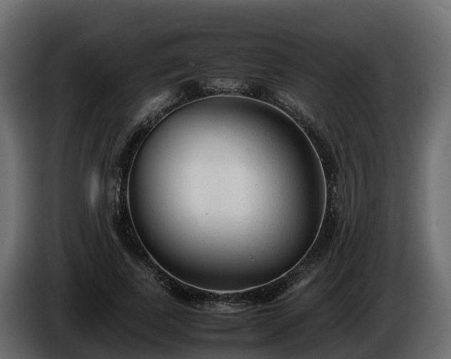 X0000085790739200703231307