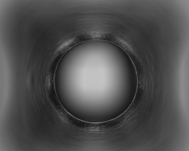 X0000085790740200703231307