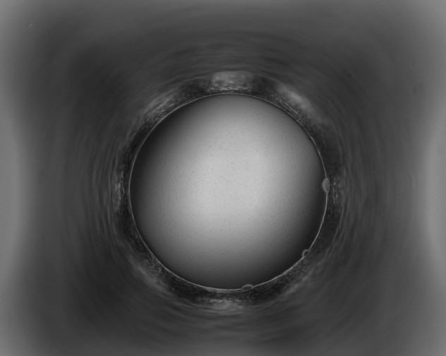 X0000085790741200703231307