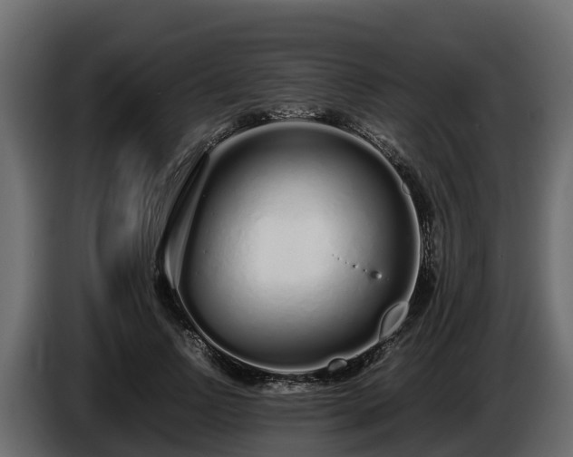 X0000085790742200703231307