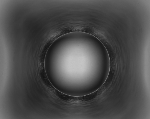 X0000085790743200703231307