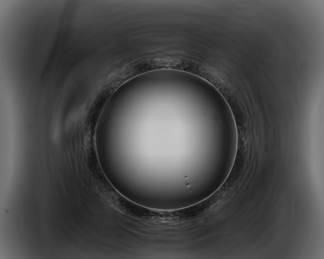 X0000085790745200703231307
