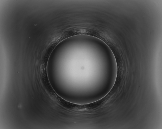 X0000085790747200703231307