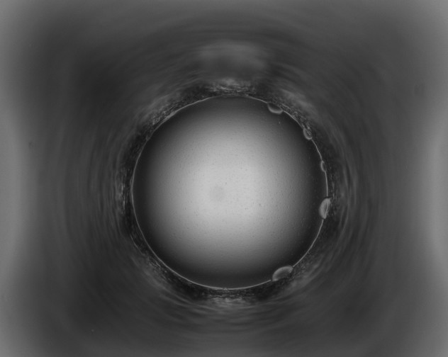 X0000085790749200703231307