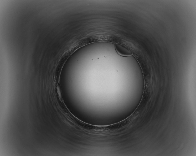 X0000085790752200703231307