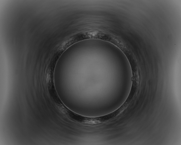 X0000085790754200703231307