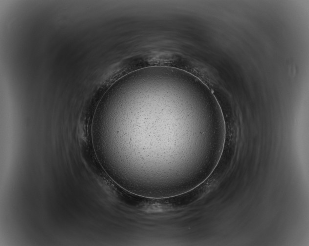X0000085790755200703231307
