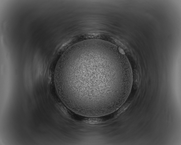 X0000085790758200703231308