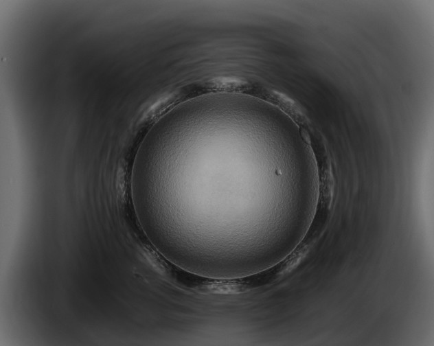 X0000085790762200703231308
