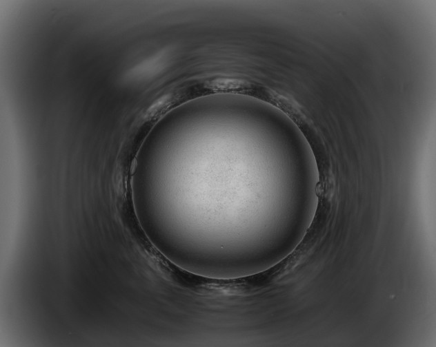 X0000085790763200703231308