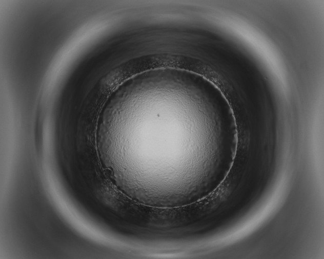 X0000085790765200703231308