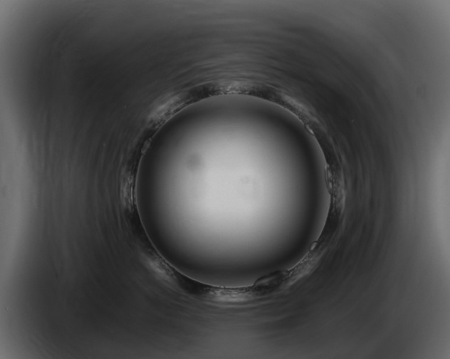 X0000085790766200703231308