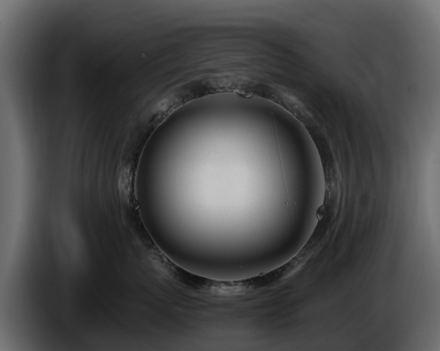 X0000085790767200703231308