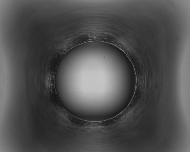 X0000085790770200703231307