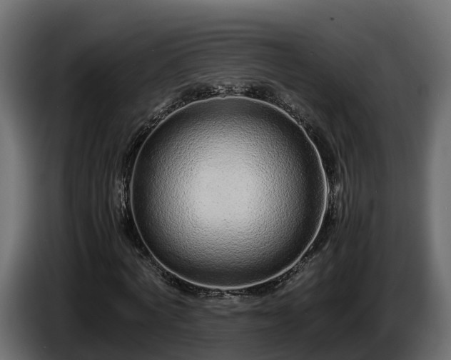 X0000085790772200703231307