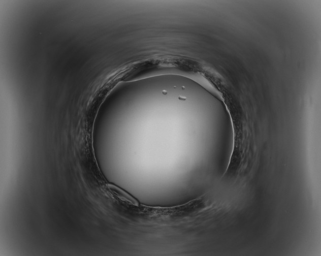 X0000085790773200703231307