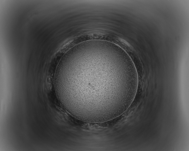 X0000085790774200703231307