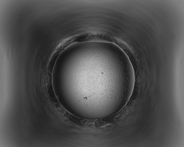 X0000085790776200703231307