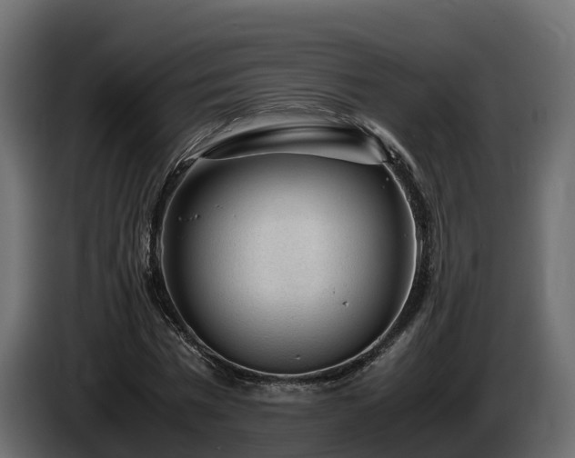 X0000085790777200703231307