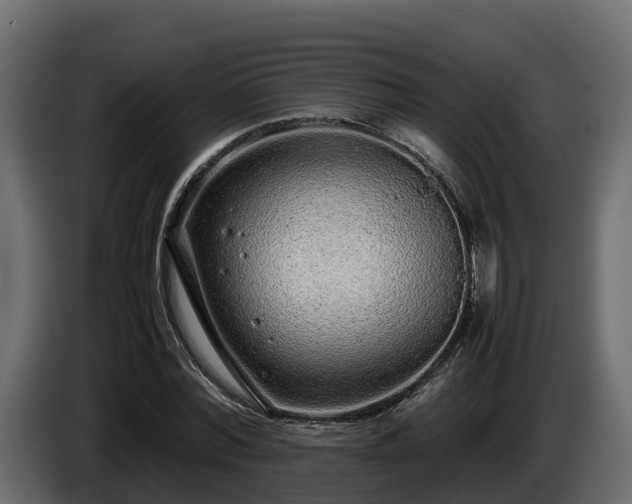 X0000085790780200703231307