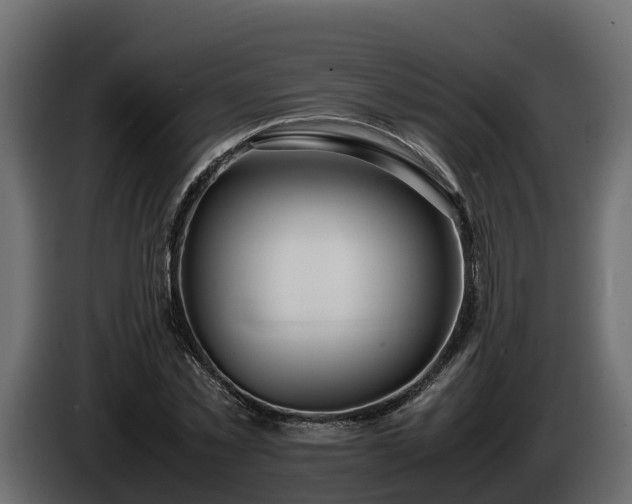 X0000085790781200703231307